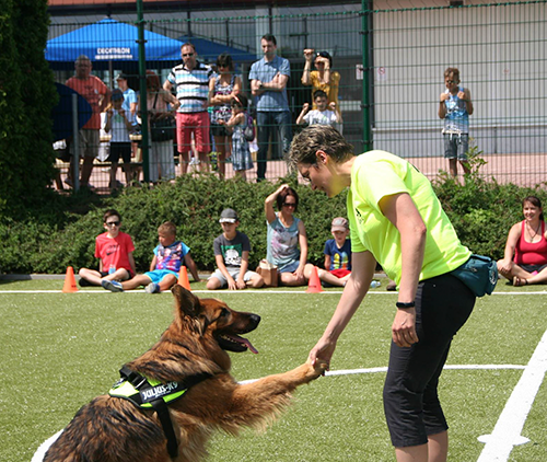 Szabó Viktória - Barni Szabó Viktória - Barni - Dr.Rex Kutyás Egyesület